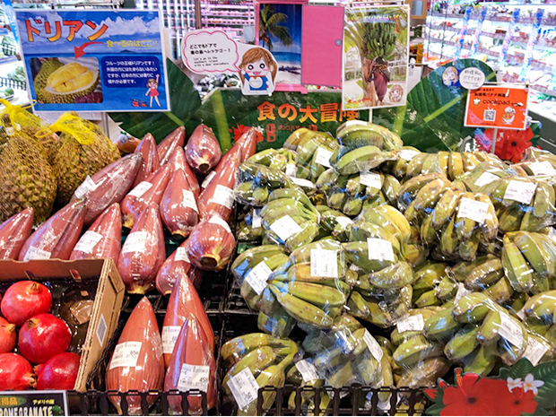 アジアの食品が充実したスーパーマーケット。食品は軽減税率の対象で消費税８％。インボイス制度でも区別した処理が必要だ＝2022年11月、埼玉・三郷市（ＮＮＡ撮影）