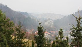 ルーマニアの森林地帯（筆者提供）