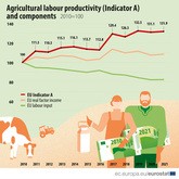 農業部門の労働生産性は近年上昇傾向にある（ユーロスタット提供）