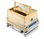 巣箱１箱でミツバチ６万匹以上をサポート（ポレニティ提供）
