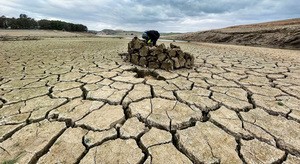 欧州全土で水不足による干ばつが深刻化している（Photo by Vladimír Turner）